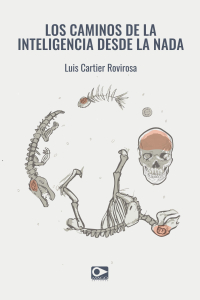 LOS CAMINOS DE LA INTELIGENCIA DESDE LA NADA